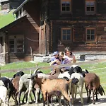 Adlerhof Sankt Leonhard im Pitztal