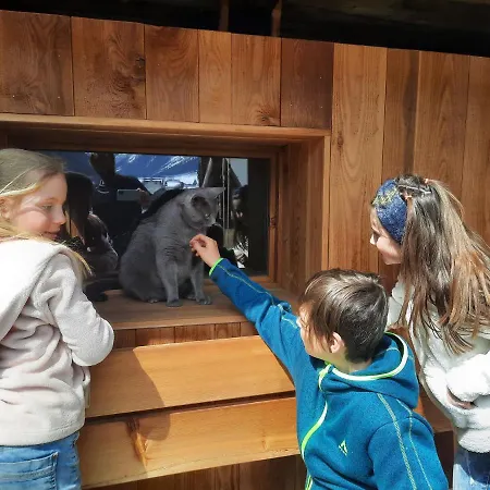 Adlerhof Apartamento Sankt Leonhard im Pitztal