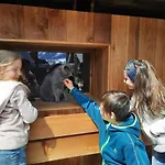 Adlerhof Apartman Sankt Leonhard im Pitztal