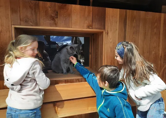 Adlerhof Апартаменты Санкт-Леонхард-им-Пицталь