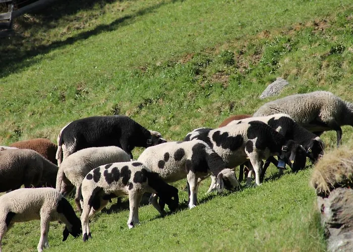 Adlerhof Апартаменты Санкт-Леонхард-им-Пицталь